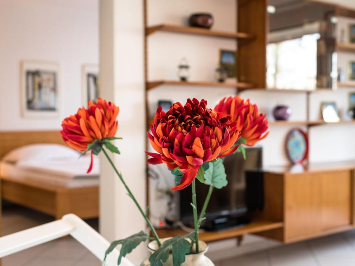 Apartment B313 By Interhome Lahnstein Dış mekan fotoğraf